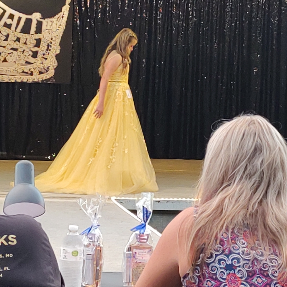 Rebe Gown, Worn One Time For A Pageant Size 4 - image 4